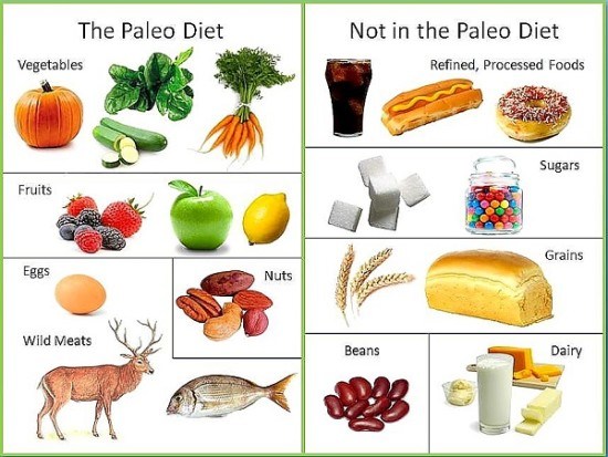 What Is a Primal Diet?